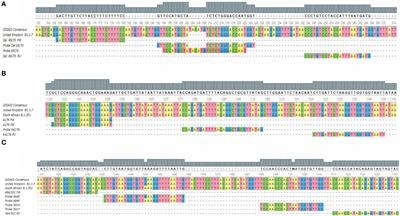 RT-qPCR Assays for Rapid Detection of the N501Y, 69-70del, K417N, and E484K SARS-CoV-2 Mutations: A Screening Strategy to Identify Variants With Clinical Impact